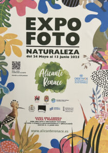 Exposición XII concurso alicante renace